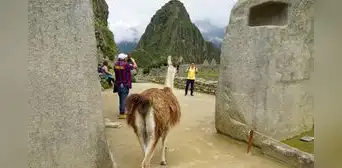 Se duplica el número de visitantes a ciudadela  inca de Machupichu