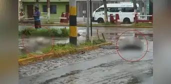 Dos perros mueren electrocutados tras pisar cables mojados por las lluvias en Trujillo Dos perros mueren electrocutados tras pisar cables mojados por las lluvias en Trujillo