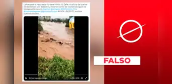 Lambayeque: video no evidencia al río Zaña arrastrando ganado vacuno en 2023