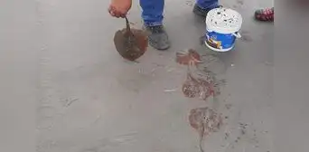 Hallan gran cantidad de peces raya muertos en playa El Dorado de Chimbote