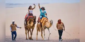 ¿Quieres conocer camellos en Ica? Conoce cómo llegar y cuánto cuesta vivir esta aventura ¿Quieres conocer camellos en Ica? Conoce cómo llegar y cuánto cuesta vivir esta aventura