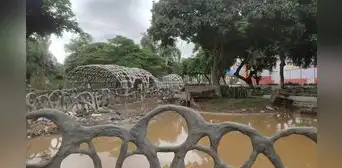 Peces y tortugas son encontrados muertos tras intensas precipitaciones en Trujillo Peces y tortugas son encontrados muertos tras intensas precipitaciones en Trujillo