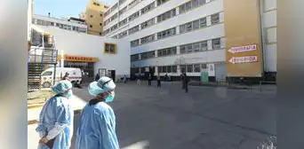 Familia llega hasta hospital y reporta que fue atacada por un gato callejero en Arequipa