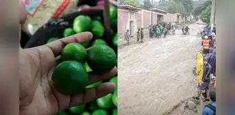 Precio del limón alcanza los S/14 tras fuertes lluvias que afectan la producción en el norte