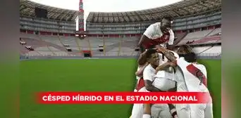 ¿Qué es el césped híbrido, el nuevo gramado que lucirá el Estadio Nacional en el Mundial Sub-17?