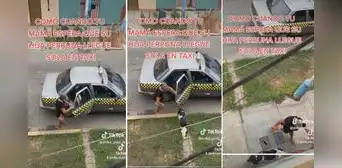 Perrita escapa de casa y regresa en taxi 2 días después: “Ya es independiente” Perrita escapa de casa y regresa en taxi 2 días después: “Ya es independiente”