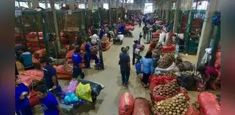 Gran Mercado Mayorista de Lima: ¿qué alimentos bajaron de precio este jueves?