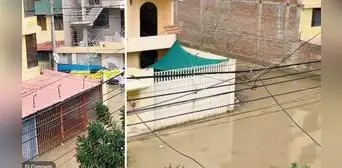 "Pensamos que estaba loco": hombre evitó inundación de su casa con sacos terreros en Piura "Pensamos que estaba loco": hombre evitó inundación de su casa con sacos terreros en Piura