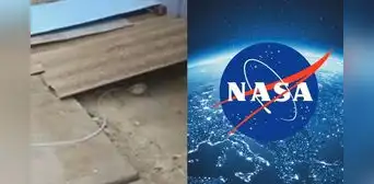 "Lo busca la NASA": peruano usa curioso truco para evitar inundación de su casa por lluvias "Lo busca la NASA": peruano usa curioso truco para evitar inundación de su casa por lluvias