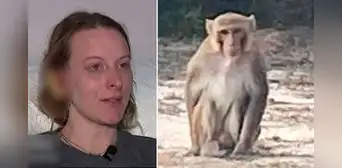 Mono ‘mascota’ ataca a mujer y le parte la oreja en 2: animal descontrolado fue asesinado