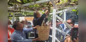 Festival de la Vendimia se vivió en Lima con tradicional pisado de uvas Festival de la Vendimia se vivió en Lima con tradicional pisado de uvas