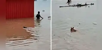 Lluvias en el norte: hallan cuerpos de víctimas de huaicos en Piura y Áncash