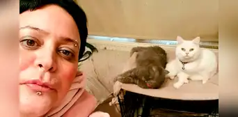 Tras quedarse sin trabajo, mujer asegura comer una vez por semana para poder mantener a sus gatos