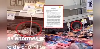 Metro asegura que presencia de roedores en su sede se debería a falla en alcantarillado por huaicos Metro asegura que presencia de roedores en su sede se debería a falla en alcantarillado por huaicos