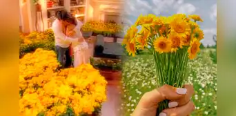 Flores amarillas: ¿por qué se regalan HOY 21 de marzo y qué significan? Flores amarillas: ¿por qué se regalan HOY 21 de marzo y qué significan?