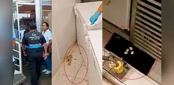 Metro: esto encontró la Municipalidad de Chorrillos en la inspección de la zona de alimentos Metro: esto encontró la Municipalidad de Chorrillos en la inspección de la zona de alimentos