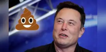 Elon Musk trolea a personas que escriben un mensaje al correo de prensa de Twitter