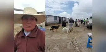 Roban olla común y anciana llora porque no prepararon almuerzo en Arequipa