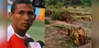 "Solo queda rogar": cultivos de 'Periquito' Chiroque y su padre son afectados por lluvias en Piura "Solo queda rogar": cultivos de 'Periquito' Chiroque y su padre son afectados por lluvias en Piura