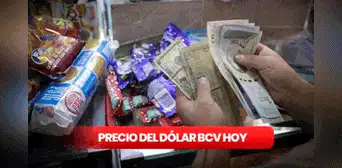 Dólar BCV HOY, martes 21 de marzo: ¿cuál es el precio del dólar en Venezuela? Dólar BCV HOY, martes 21 de marzo: ¿cuál es el precio del dólar en Venezuela?