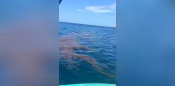 Pescadores de Piura reportan nuevo derrame de petróleo en Los Órganos Pescadores de Piura reportan nuevo derrame de petróleo en Los Órganos