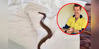 “¡Revisa la cama cuidadosamente!”: amigos despiertan con una enorme serpiente en su habitación