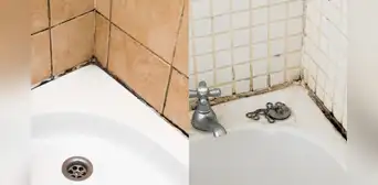 ¿Cómo eliminar el moho de la ducha y paredes del baño? Estos 3 trucos te ayudarán a conseguirlo ¿Cómo eliminar el moho de la ducha y paredes del baño? Estos 3 trucos te ayudarán a conseguirlo
