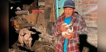 Lurigancho-Chosica: ciudadano de 88 años se quedó solo con mascotas tras perderlo todo en huaico