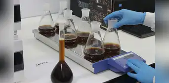 Científicos detectan cafeína oculta en populares bebidas consumidas en Perú Científicos detectan cafeína oculta en populares bebidas consumidas en Perú