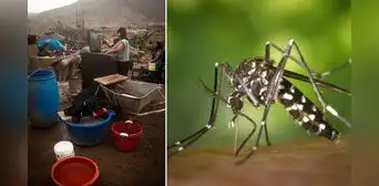 Red de salud confirma 2 casos de dengue en Chimbote Red de salud confirma 2 casos de dengue en Chimbote