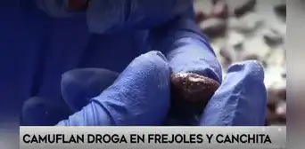 Narcotraficantes camuflan droga dentro de frejoles para ser enviadas al extranjero Narcotraficantes camuflan droga dentro de frejoles para ser enviadas al extranjero