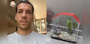 ‘Pato’ Parodi presume a los loritos que rescató su papá: “A ver, háblenme” ‘Pato’ Parodi presume a los loritos que rescató su papá: “A ver, háblenme”