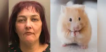 Por torturar y comerse a un hámster que tenía como mascota, mujer fue condenada a prisión Por torturar y comerse a un hámster que tenía como mascota, mujer fue condenada a prisión