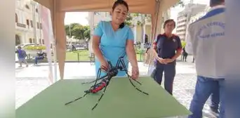 En Lambayeque se registra más de 560 casos de dengue