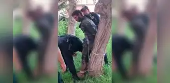 Presunto delincuente acusado de robar una bicicleta amaneció amarrado a un árbol en Trujillo Presunto delincuente acusado de robar una bicicleta amaneció amarrado a un árbol en Trujillo