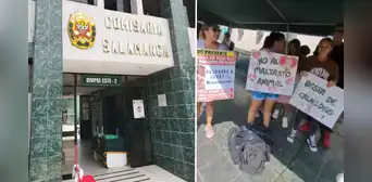"Hay videos y audios desgarradores": vecinos denuncian tortura de 16 perros en una casa de Ate "Hay videos y audios desgarradores": vecinos denuncian tortura de 16 perros en una casa de Ate