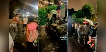 Sanmarquinos hacen yunza con árbol caído en campus universitario: "Es una tradición"
