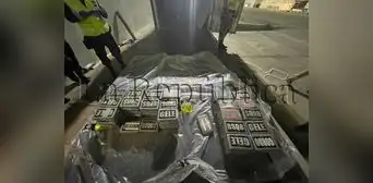 Piura: incautan 200 kilos de cocaína camuflada en cargamento de paltas, cuyo destino era Holanda Piura: incautan 200 kilos de cocaína camuflada en cargamento de paltas, cuyo destino era Holanda