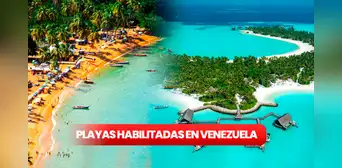 Semana Santa en Venezuela: ¿qué playas están habilitadas para disfrutar por feriado? Semana Santa en Venezuela: ¿qué playas están habilitadas para disfrutar por feriado?
