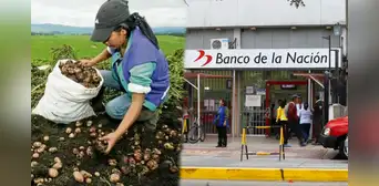 FertiAbono 2, LINK oficial: ¿cómo saber con mi DNI si soy beneficiario del subsidio y cuándo pagan? FertiAbono 2, LINK oficial: ¿cómo saber con mi DNI si soy beneficiario del subsidio y cuándo pagan?