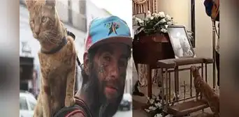 La historia del indigente que quiso a un gatito callejero hasta su muerte: “Amor eterno”