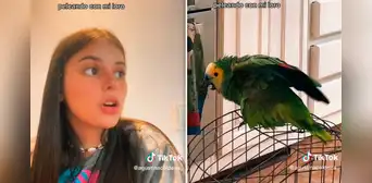 Joven sorprende al 'pelear' con su loro para enviar nota de voz: "¿No me vas a dejar?" Joven sorprende al 'pelear' con su loro para enviar nota de voz: "¿No me vas a dejar?"