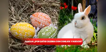 Pascua en Estados Unidos: ¿por qué se conmemora con conejos y huevos? Pascua en Estados Unidos: ¿por qué se conmemora con conejos y huevos?