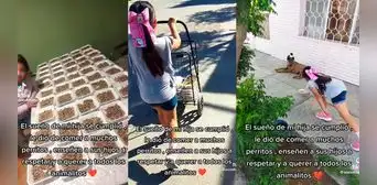 “Ella es mi heroína”: niña alimenta a perritos callejeros y se gana el corazón de internautas