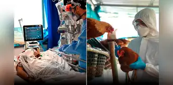 China confirma un tercer caso de gripe aviar H3N8 en humanos
