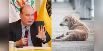 Rafael López Aliaga anuncia inauguración de veterinarias solidarias en los clubes zonales de Lima