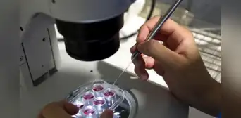 Donante de esperma es demandado por ser el supuesto padre de más de 550 niños Donante de esperma es demandado por ser el supuesto padre de más de 550 niños