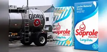 Gloria y el último paso para concretar compra de Soprole, marca líder del mercado lácteo chileno
