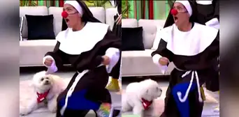 Katia Palma pasó gran susto al ser mordida por perrita de Fernando Díaz en vivo Katia Palma pasó gran susto al ser mordida por perrita de Fernando Díaz en vivo