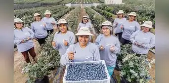 Congreso impulsa ley que modifica régimen agrario Congreso impulsa ley que modifica régimen agrario